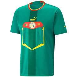 Vêtements Homme T-shirts & Polos Puma Senegal Away 22/23 Replica Vert