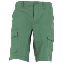 Vêtements Homme Shorts / Bermudas Champion Cargo Vert