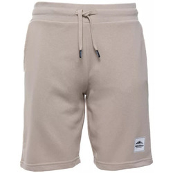 Vêtements Homme Shorts / Bermudas Helvetica CURRY Beige