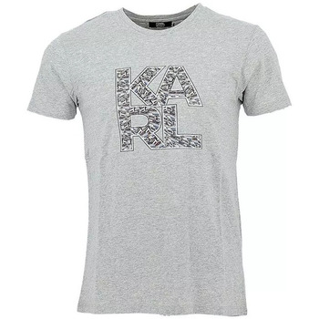Vêtements Homme T-shirts manches courtes Karl Lagerfeld Tee-shirt Gris