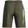 Vêtements Homme Shorts / Bermudas Under Armour WOVEN GRAPHIC Vert