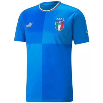 Vêtements Homme T-shirts & Polos Puma Italy Home 22/23 Replica Jersey Bleu