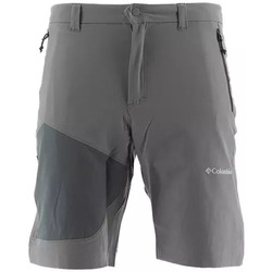 Vêtements Homme Shorts / Bermudas Columbia TRIPLE CANYON II Gris