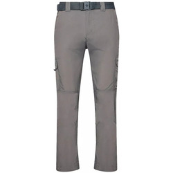 Vêtements Homme Pantalons Columbia Silver Ridge II Cargo Gris