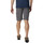 Vêtements Homme Shorts / Bermudas Columbia Silver Ridge II Cargo Gris