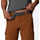 Vêtements Homme Shorts / Bermudas Columbia Silver Ridge II Cargo Marron