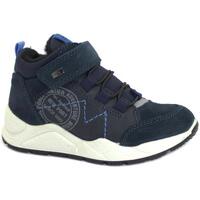 Chaussures Enfant Baskets montantes Balocchi BAL-I23-838295-NA Bleu