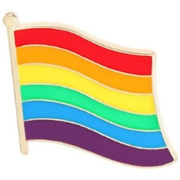 Montres & Bijoux Femme Broches / Epingles Clj Charles Le Jeune Pin's Gay pride, Drapeau flottant arc en ciel Multicolore