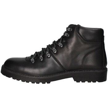 Chaussures Homme Bottes ville IgI&CO 4607300 amphibie Homme Noir Noir