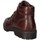 Chaussures Homme Bottes ville IgI&CO 4607311 amphibie Homme Marron