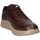 Chaussures Homme Baskets basses CallagHan 50908 chaussures de tennis Homme T moro Marron