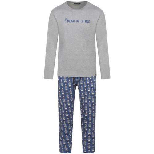 Vêtements Homme Pyjamas / Chemises de nuit Arthur 157205VTAH23 Gris