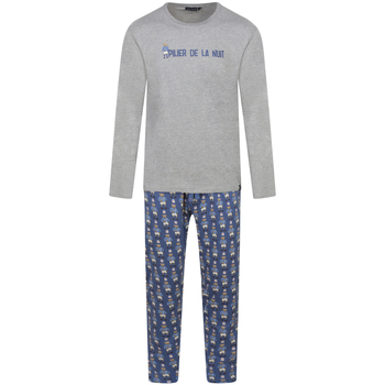 Vêtements Homme Pyjamas / Chemises de nuit Arthur Pyjama long coton Gris