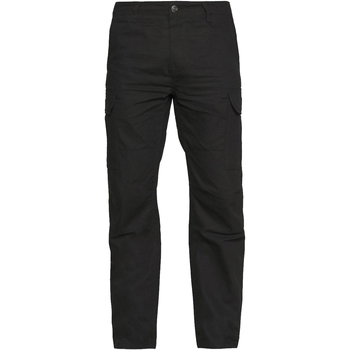 Vêtements Homme Pantalons Dickies DK0A4XDUBLK1 Noir