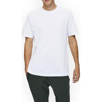 Vêtements Homme T-shirts & Polos Selected 16077385 BRIGHTWHITE Blanc