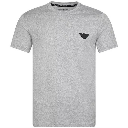 Vêtements Homme T-shirts & Polos EMPORIO ARMANI logo-embroidered crew sweatshirtni LONGWEAR Gris