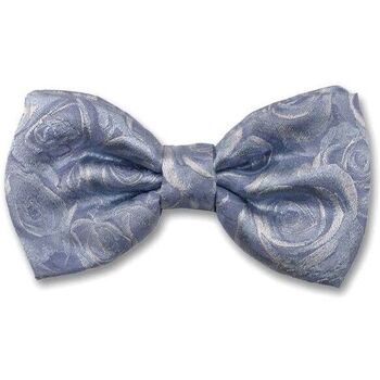 Vêtements Homme Cravates et accessoires Robert Charles Noeud papillon noué Roses Bleu