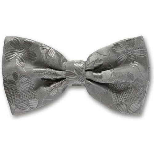 Vêtements Homme Cravates et accessoires Robert Charles Noeud papillon noué Valentina Gris