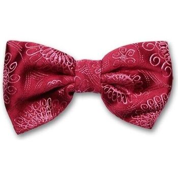 Vêtements Homme Cravates et accessoires Robert Charles Noeud papillon noué Astoria Rose