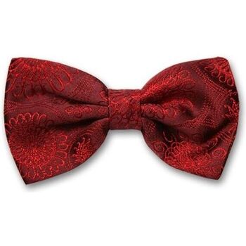 Vêtements Homme Cravates et accessoires Robert Charles Noeud papillon noué Astoria Rouge