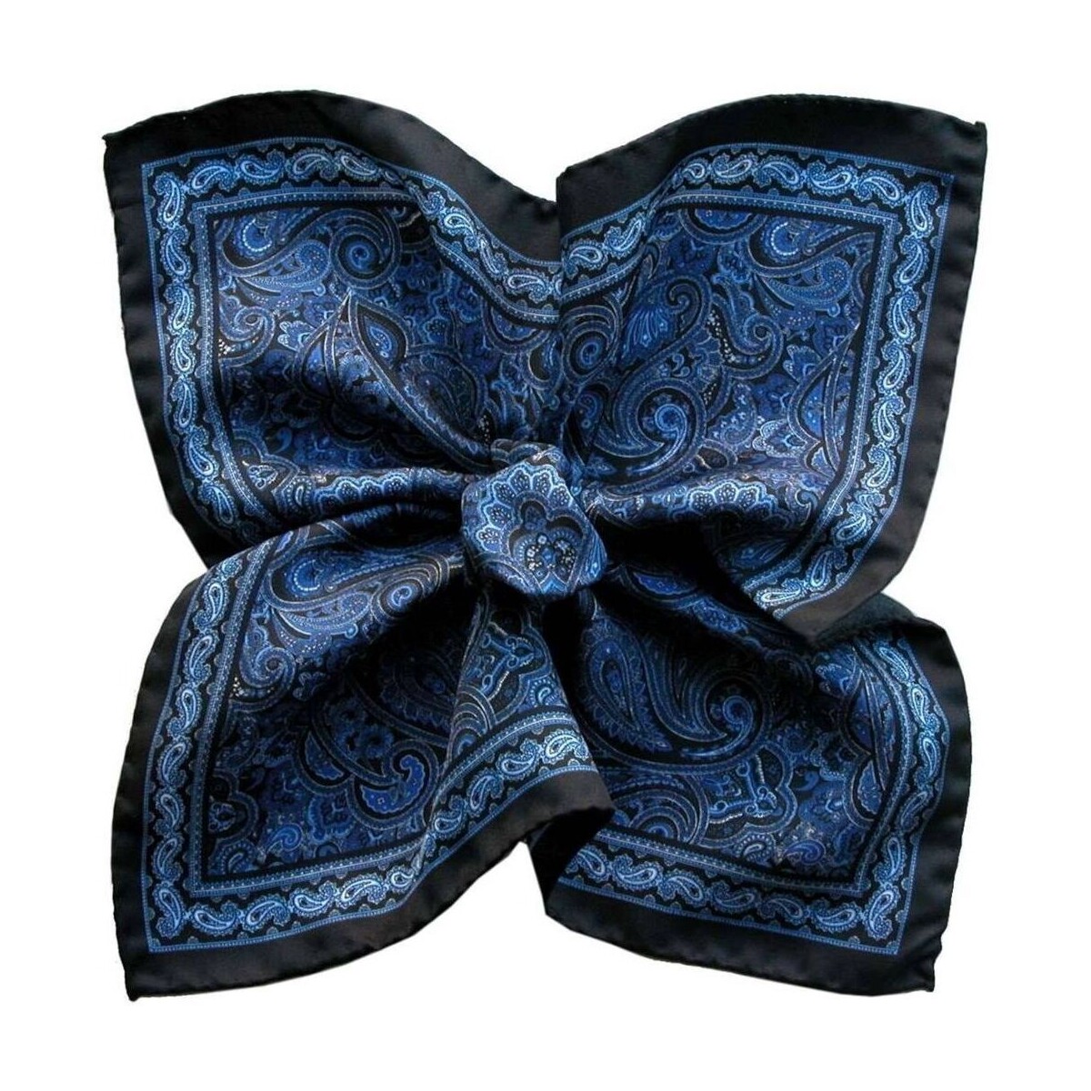Vêtements Homme Costumes et cravates Segni Et Disegni Pochette Paisley Dandy Bleu