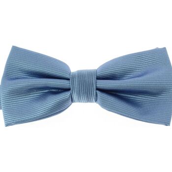 Vêtements Homme Cravates et accessoires Clj Charles Le Jeune Noeud papillon noué CHARLES Bleu