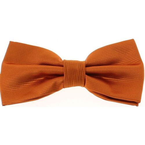 Vêtements Homme Cravates et accessoires Noeud Papillon Tricot Cornell Noeud papillon noué CHARLES Orange