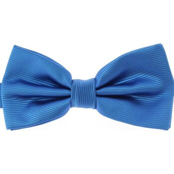 Vêtements Homme Cravates et accessoires Clj Charles Le Jeune Noeud papillon noué CHARLES Bleu