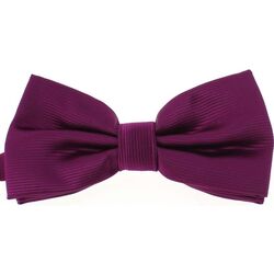 Vêtements Homme Cravates et accessoires Clj Charles Le Jeune Noeud papillon noué CHARLES Violet