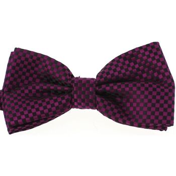 Vêtements Homme Cravates et accessoires Noeud Papillon Tricot Cornell Noeud papillon noué CHARLES Violet