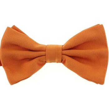Vêtements Homme Cravates et accessoires Tony & Paul Noeud papillon noué ALESSIA Orange
