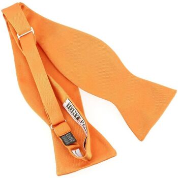 Vêtements Homme Cravates et accessoires Tony & Paul Noeud papillon à nouer Confection main Orange
