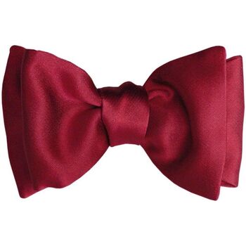 Vêtements Homme Cravates et accessoires Segni Et Disegni Noeud papillon à nouer Satin Rouge