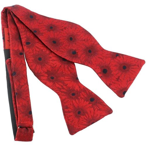 Vêtements Homme Cravates et accessoires Robert Charles Noeud papillon à nouer Gerbera Rouge