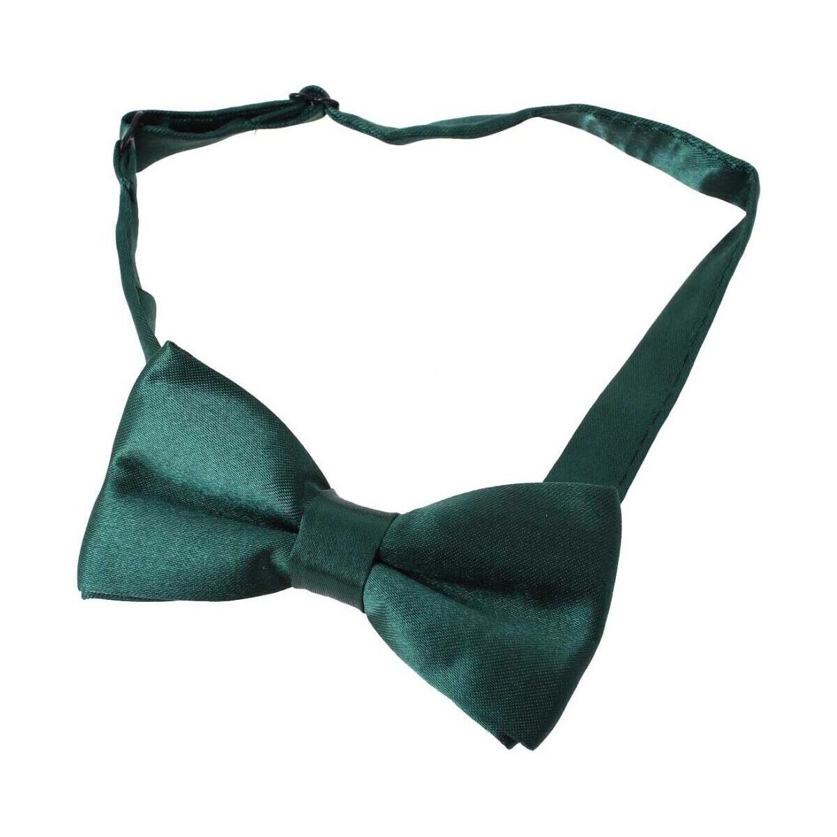 Vêtements Cravates et accessoires Clj Charles Le Jeune Noeud papillon enfant Ajustable Vert