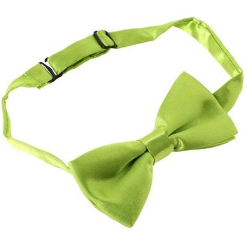 Vêtements Cravates et accessoires Noeud Papillon Tricot Cornell Noeud papillon enfant Ajustable Vert