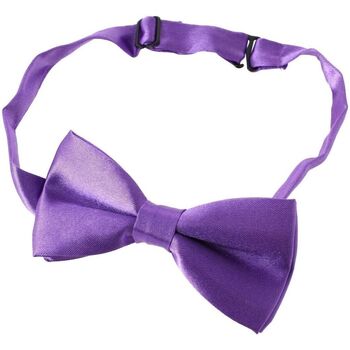 Vêtements Cravates et accessoires Noeud Papillon Tricot Cornell Noeud papillon enfant Ajustable Violet