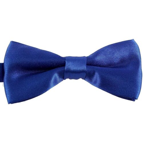 Vêtements Cravates et accessoires Noeud Papillon Tricot Cornell Noeud papillon enfant Ajustable Bleu