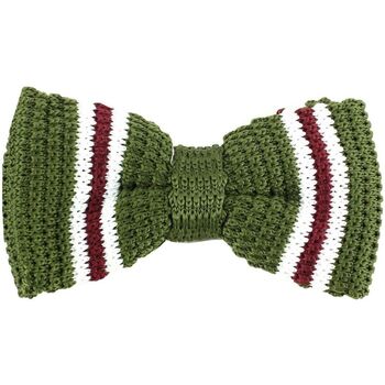 Vêtements Homme Cravates et accessoires Clj Charles Le Jeune Noeud papillon tricot bon chic Vert