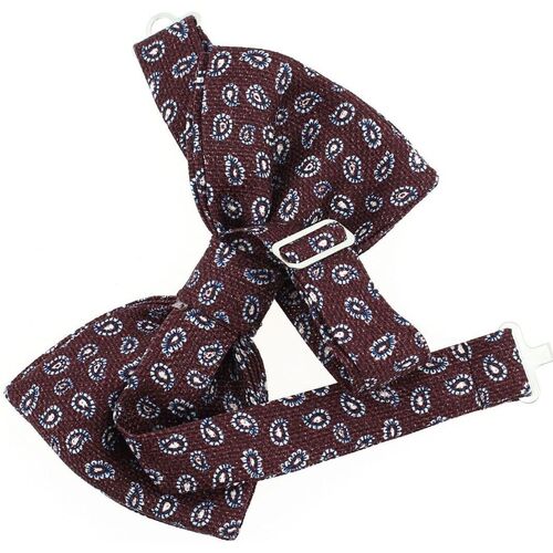 Vêtements Homme Cravates et accessoires Segni Et Disegni Noeud papillon noué Taj Mahal Bordeaux