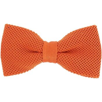 Vêtements Homme Cravates et accessoires Tony & Paul Noeud papillon tricot PAULO Orange