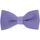 Vêtements Homme Cravates et accessoires Tony & Paul Noeud papillon tricot PAULO Violet