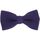 Vêtements Homme Cravates et accessoires Tony & Paul Noeud papillon tricot PAULO Violet