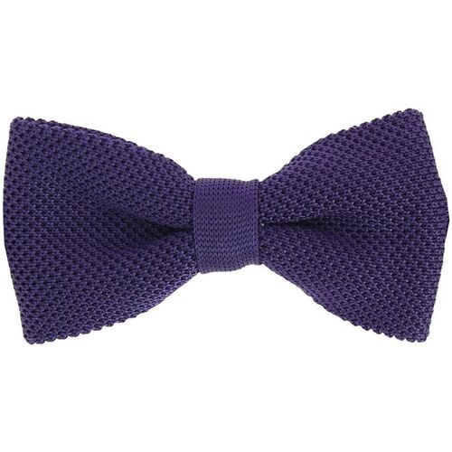 Vêtements Homme Cravates et accessoires Arthur & Aston Noeud papillon tricot PAULO Violet