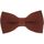 Vêtements Homme Cravates et accessoires Tony & Paul Noeud papillon tricot PAULO Marron