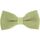 Vêtements Homme Cravates et accessoires Tony & Paul Noeud papillon tricot PAULO Vert