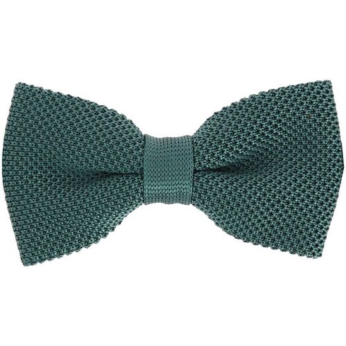 Vêtements Homme Cravates et accessoires Arthur & Aston Noeud papillon tricot PAULO Vert