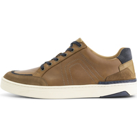 Chaussures Homme Baskets basses Travelin' Hagley Marron