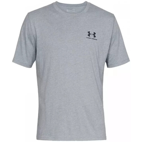 Vêtements Homme T-shirts & Polos Under Armour Hoodie Tee-shirt Gris