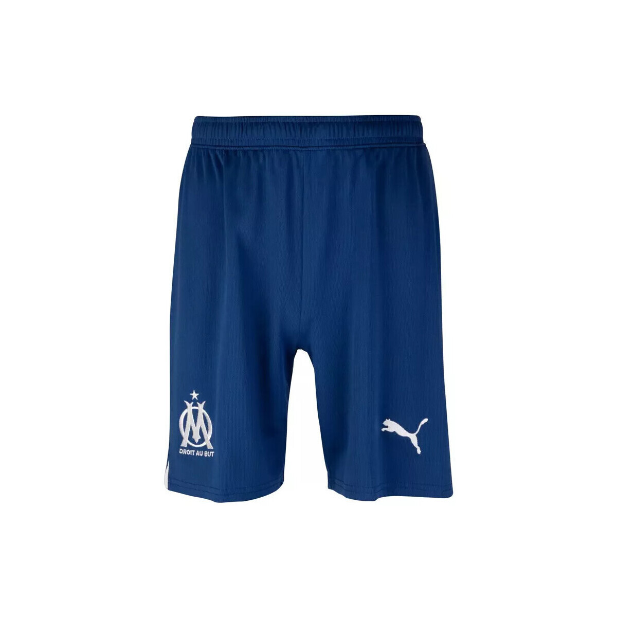Vêtements Homme Shorts / Bermudas Puma OM REP Bleu